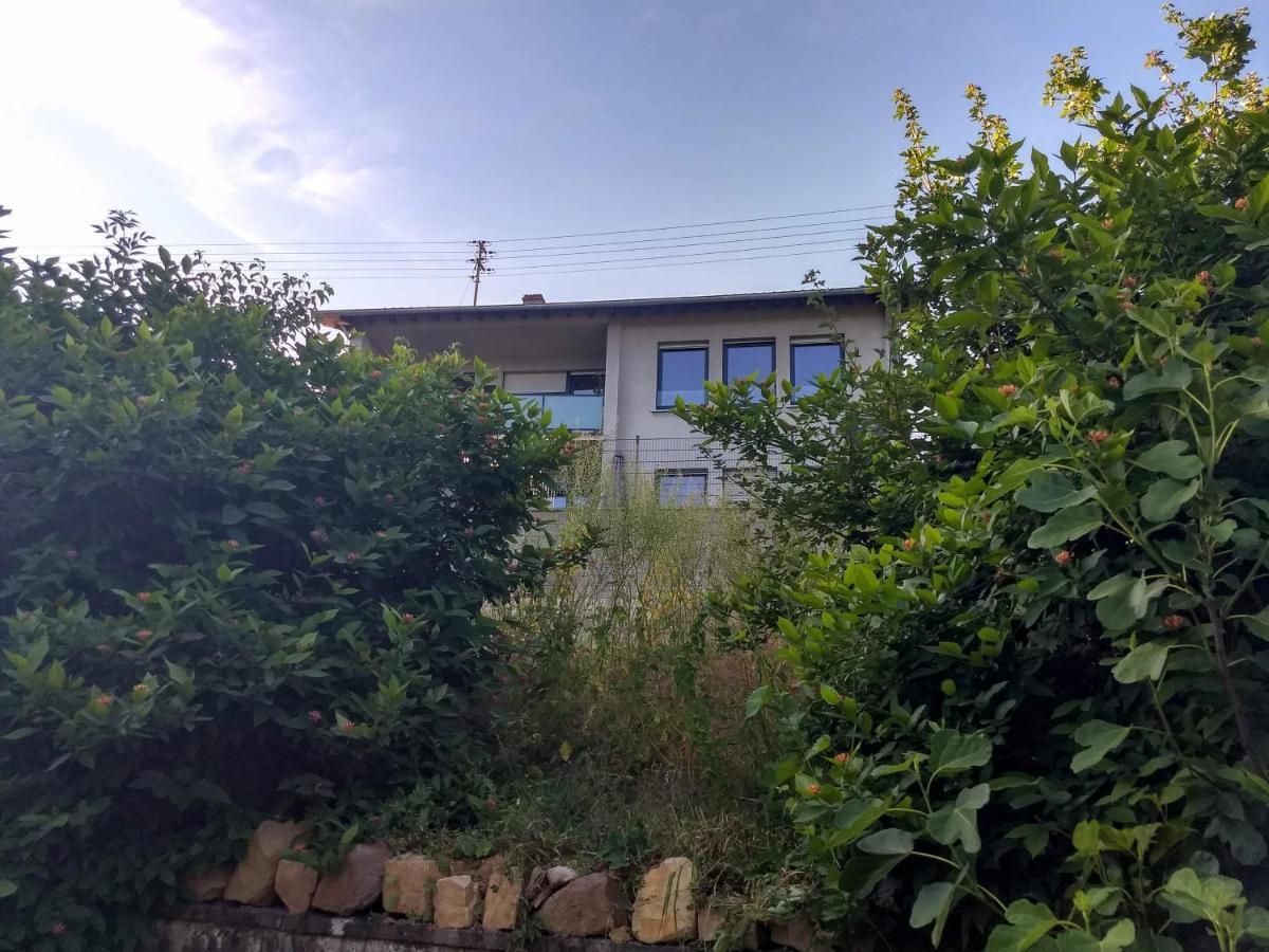 Fraeulein Frenz Vakantiehuis Bollendorf