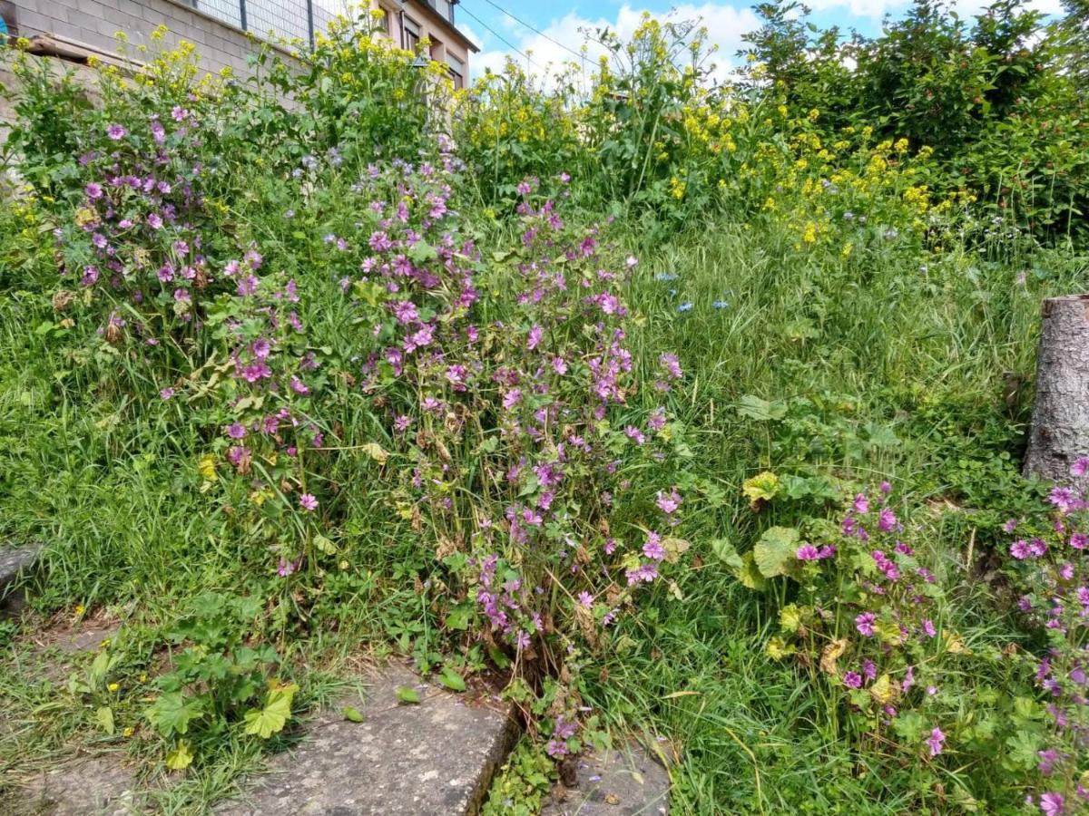 Fraeulein Frenz Vakantiehuis